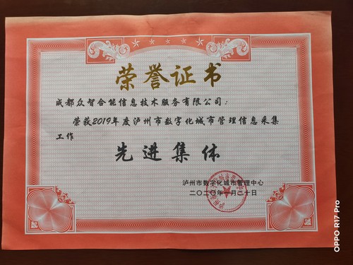 榮譽(yù)證書-瀘州市數(shù)字化城市管理中心