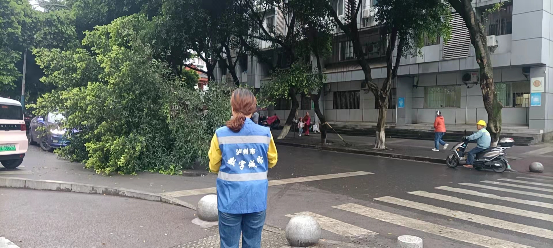 堅持雨后精準采集，共護市民出行安全
