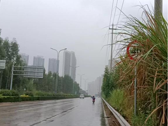 全力以赴戰(zhàn)寒潮，姜汁湯圓暖人心